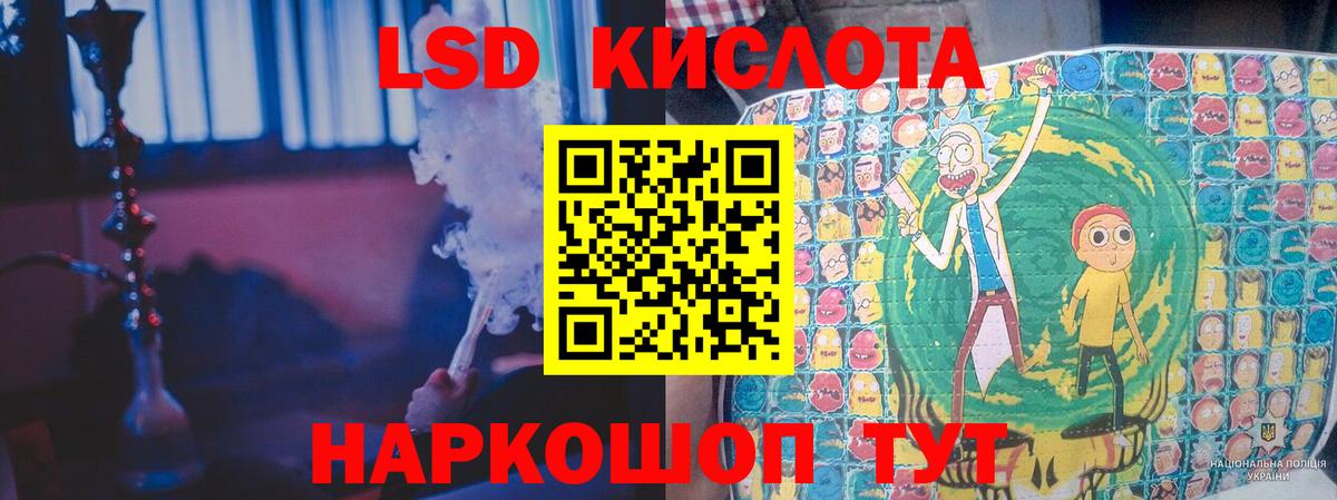Галлюциногенные грибы Дербент