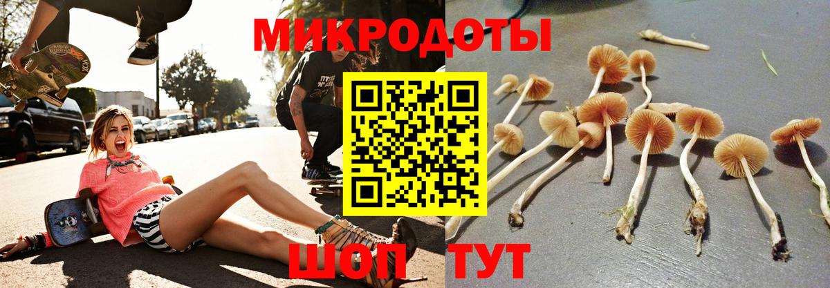 Дербент  Галлюциногенные грибы Psilocybe  купить   Вход с VPN 